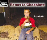 Image of Beans to chocolate