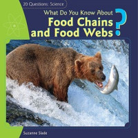 Image of What do you know about food chains and food webs?