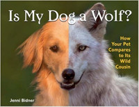Image of Is my dog a wolf? : how your pet compares to its wild cousin