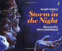 Image of Storm in the night