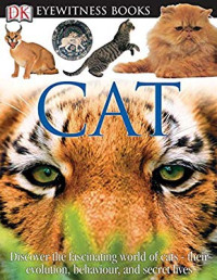 Image of Cat