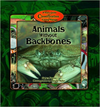 Image of Animals without backbones