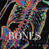 Image of Bones : our skeletal system