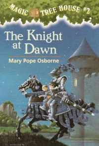 Image of The knight at dawn