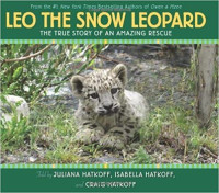 Image of Leo, the snow leopard : the true story of an amazing rescue