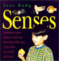 Image of Senses