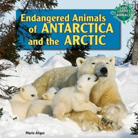 Image of Endangered animals of Antarctica and the Arctic