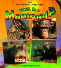 Image of What is a mammal?