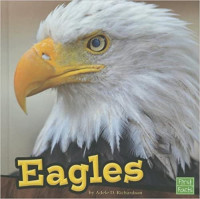 Image of Eagles