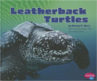 Image of Leatherback turtles