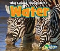 Image of Water