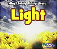 Image of Light