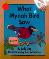 Image of What mynah bird saw