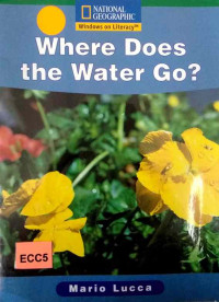 Image of Where does the water go?