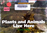 Image of Plants and animals live here