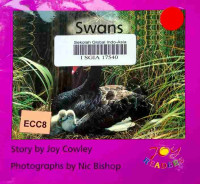 Image of Swans