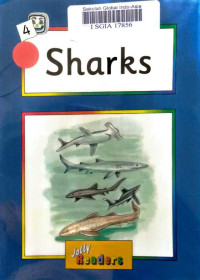 Image of Sharks
