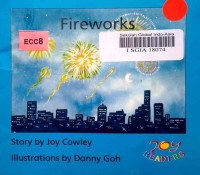 Image of Fireworks