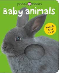 Image of Baby animals: bright baby touch and feel