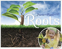 Image of Roots