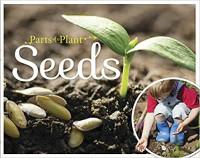 Image of Seeds