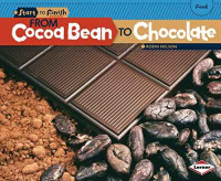 Image of From cocoa bean to chocolate