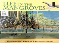 Image of Life in the mangroves