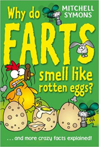 Image of Why do farts smell like rotten eggs?