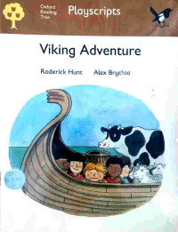Image of Viking adventure