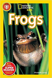 Image of Frogs!