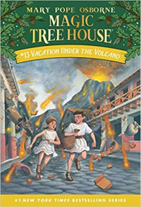 Image of Vacation under the volcano