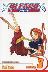 Image of Bleach, Vol. 3