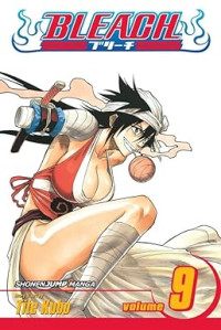 Image of Bleach, Vol. 9: Fourteen Days for Conspiracy