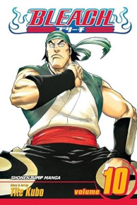 Image of Bleach, Vol. 10: Tattoo on the Sky