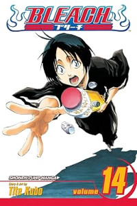 Image of Bleach, Vol. 14