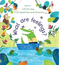 Image of What are Feelings? : Lift-the-Flap First Questions & Answers