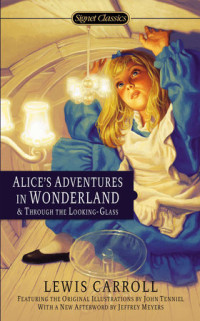 Image of Through the looking-glass