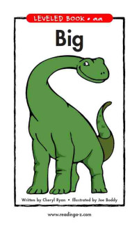 Image of Leveled book aa : big