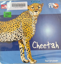 Image of Cheetah